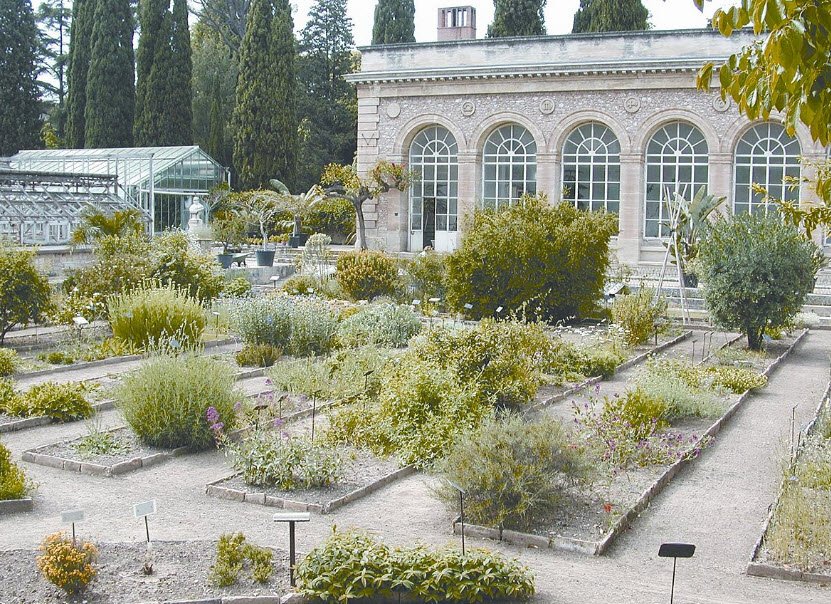 Jardin des Plantes de Montpellier , , France